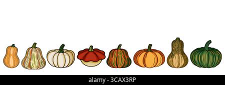 A vibrant vector illustration showcasing a diverse collection of handdrawn pumpkins and squashes, each with unique colors and patterns, arranged in a Stock Vector