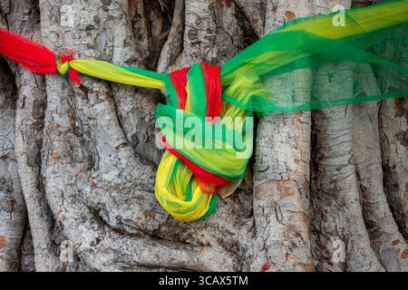 Sacred cloths around the root system of a strangler fig (Ficus religiosa), Bangkok, Thailand, Asia Stock Photo