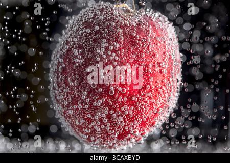 A red peach is submerged in water and covered with air bubbles Stock Photo