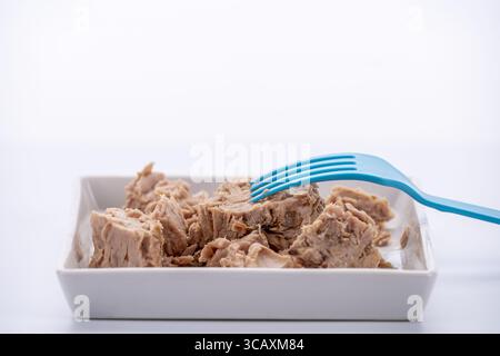Canned tuna in brine, still in  pieces with a blue plastic fork on white square plate on white blackground Stock Photo