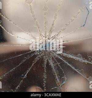 Passenger side window with spider-like bullet hole on a very rusty 1950's car with parts removed in a small town in Texas Stock Photo