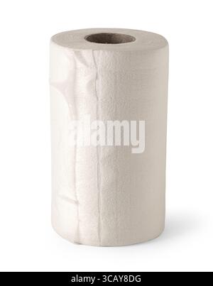 Absorbent paper towel roll standing on white background, ready for cleaning and wiping Stock Photo