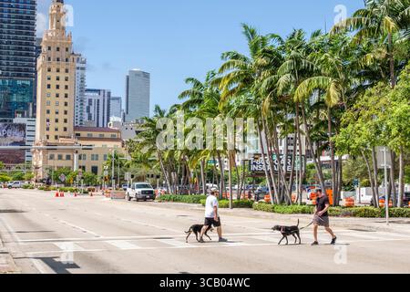 Miami Florida,Biscayne Boulevard,downtown city skyline,high rise buildings,Freedom Tower historic building,Cuban American heritage site,Mediterranean Stock Photo