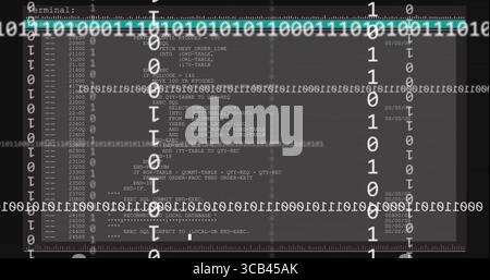 Displaying terminal window showing SQL-like code on digital screen, with binary streams and rulers Stock Photo