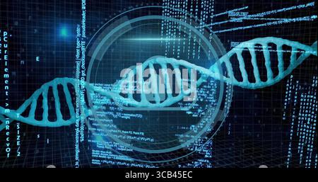 Rotating cyan DNA double helix across 3D wireframe grid, with code streams, circular HUD overlays Stock Photo