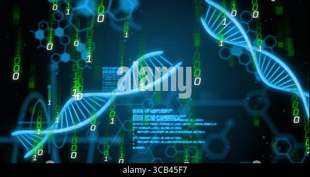 Neon-blue DNA helix floating in interface, with streaming binary digits, hex patterns, code blocks Stock Photo