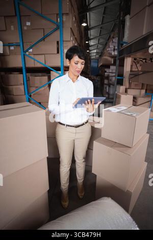 Woman in business attire scanning inventory on digital tablet in warehouse among cardboard boxes Stock Photo