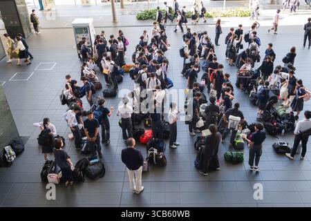 A large group of students gathers outdoors, preparing for a school trip. They are organizing bags and chatting energetically, showcasing excitement an Stock Photo