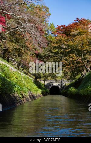 Lake Biwa canal runs between vibrant autumn foliage towards a tunnel in this tranquil scene. Yamashina Ward, Kyoto, Kansai, Honshu, Japan Stock Photo