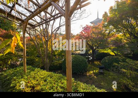 To-ji Temple garden during autumn reveals colorful maple trees, a wooden pergola, soft sunlight, and a historic pagoda amidst a lush natural backgroun Stock Photo