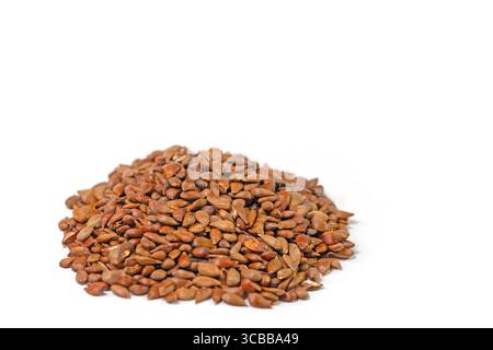 Apple cores against a white background Stock Photo