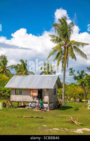 archipelago of the Visayas, Bohol island, Pamiilacan, traditional house with woven fibre walls and sheet metal roof surrounded by palm trees Stock Photo
