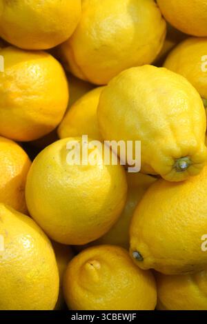 Fresh Yellow Lemons – Juicy Citrus Fruit Photography Stock Photo