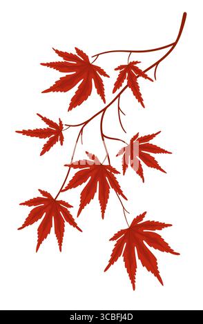 Japanese Maple Branch with Autumn Leaves. Red Maple Leaves, Autumn Leaves, Fall Foliage. Stock Vector