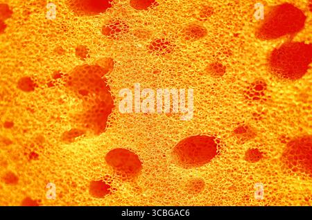 Macro photo of porous orange sponge texture with warm tone. Abstract macro sponge textures for background. Abstract porous background. Stock Photo