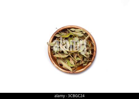 Lemon verbena dried leaves in a wooden bowl on a white background with copy space Stock Photo