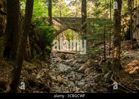 Dry Creek Runs Under Hemlock Bridge In Acadia National Park Stock Photo