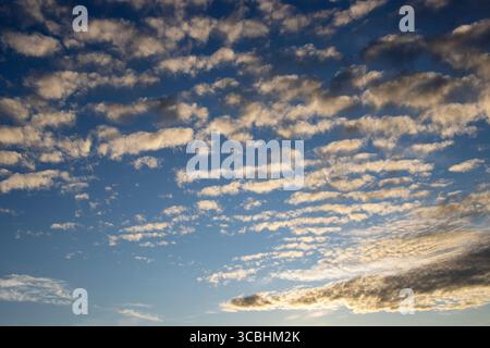 Altocumulus stratiformis undulatus cover a large area as they form in near parallel lines across the sky. This can become one of many types of Stratus Stock Photo