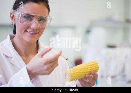 Female scientist wearing goggles injecting liquid with syringe into corn at lab bench, copy space. Researcher, biotechnology, experimental, innovation Stock Photo