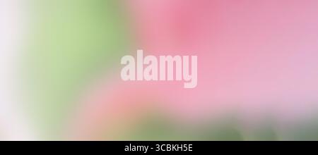 Banner. Green and pink blurred background. gradient. Delicate spring background for the presentation of cosmetic products. Stock Photo