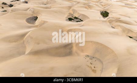 Aerial view of the undulating Maspalomas Dunes, a symphony of golden sand sculpted by the wind, contrasting with sparse green vegetation, Maspalomas, Gran Canaria, Canary Islands, Spain. Stock Photo