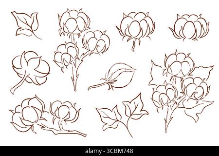 Cotton plant line art set with flowers, bolls and leaves in line art style for textile, agriculture nature and eco design isolated on white background Stock Vector