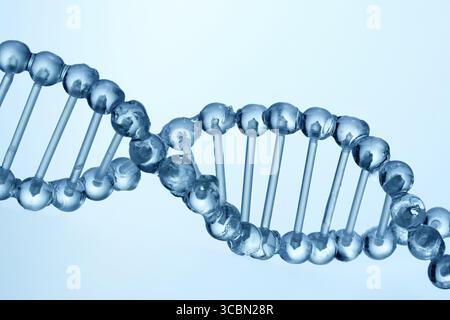 DNA Helix Structure. DNA Helix. Close-up of a transparent blue DNA helix Stock Photo