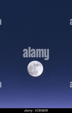 Vertical full moon rising during blue hour. Stock Photo