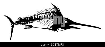 A Skeleton of big predatory sea fish. Stock Vector