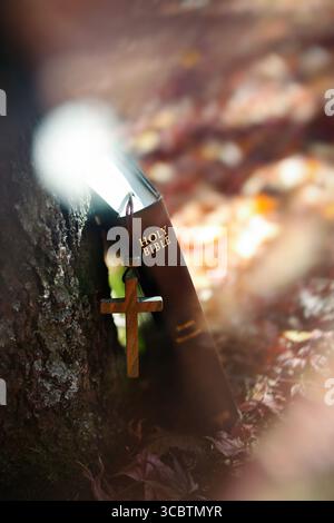 Autumn landscape with bright light, the Holy Cross of Jesus Christ and a Bible on red maple leaves. Stock Photo