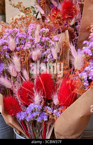 Close-up of a vibrant bouquet of dried flowers with red Lagurus and purple Statice. Stylish long-lasting floral arrangement for home decoration. Stock Photo
