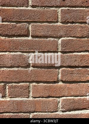 Close up of red brick wall with rough texture in sunlight Stock Photo