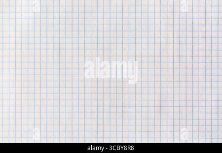 Close up of white sheet from a notebook in a cage. School concept Stock Photo