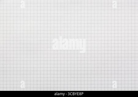 Close up of white sheet from a notebook in a cage. School concept Stock Photo