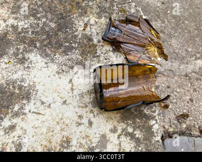 glass bottle broken into pieces on a concrete slab Stock Photo
