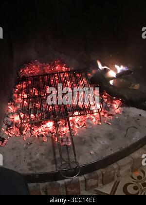 meat on the grill over hot coals, healthy and natural food, energy savings Stock Photo