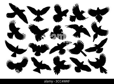 A set of silhouettes birds of prey and seabirds in flight. Stock Vector