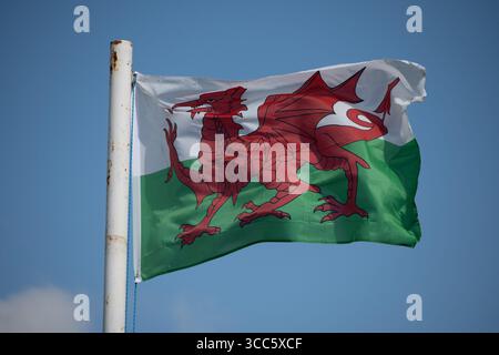 Welsh flag. Stock Photo