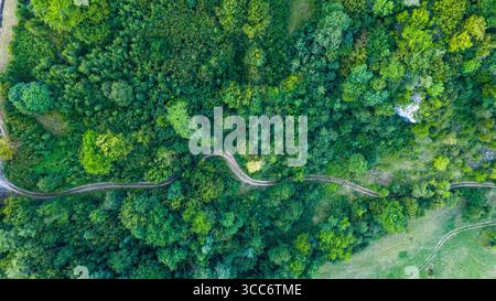 Top-down aerial photo of a winding forest trail weaving through dense green vegetation and wild terrain Stock Photo