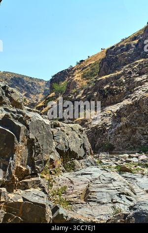Detailed texture of a weathered sandstone or volcanic rock surface with cracks and natural patterns, photographed in Boshkyzylsay, July 2025 Stock Photo