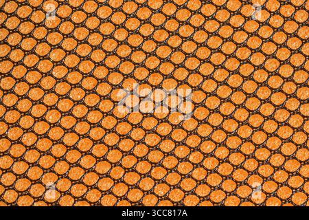 Black hex mesh on an orange sponge background Stock Photo