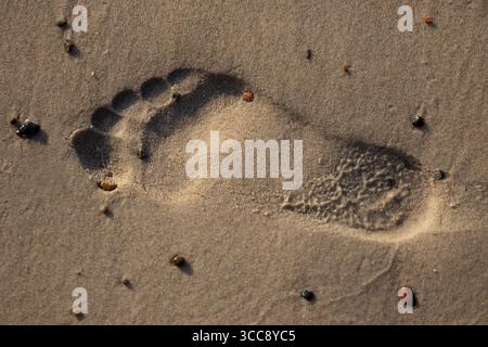 Footprint in sand with small pebbles Stock Photo