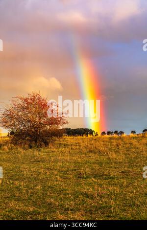 Rainbow over the countryside at Blayney in the Central West of NSW, Australia. Stock Photo
