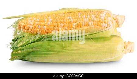 corn cobs isolated on white background. Stock Photo