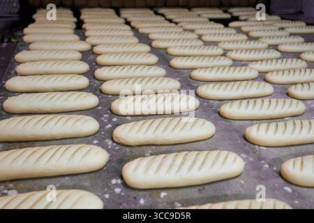 Dough loaves being prepared for baking in a large commercial bakery facility during the early morning hours Stock Photo