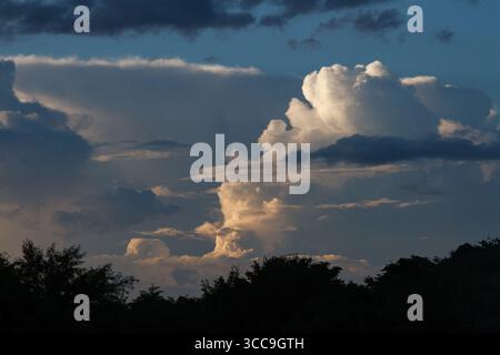 Billowing clouds catch evening light in rural Kanagawa, Japan. Stock Photo