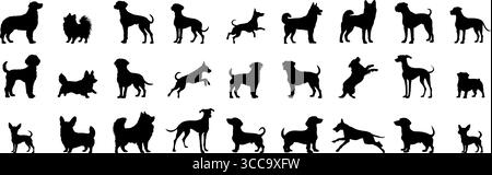 Dog breed in different poses. Animal silhouette. Stock Vector