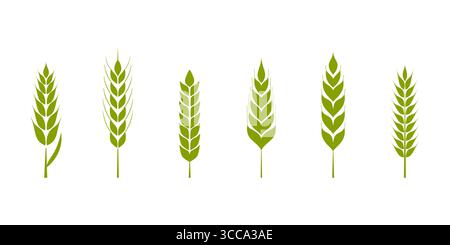 Green wheat stalks vector illustration. Collection of stylized wheat ears in various shape and size Stock Vector