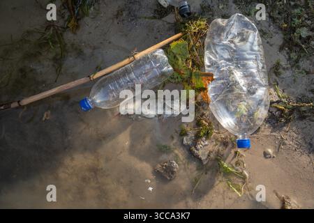 Dead fish lying among plastic bottles and trash on a sandy riverbank. Concept of water pollution, environmental damage, and ecological disaster. Stock Photo