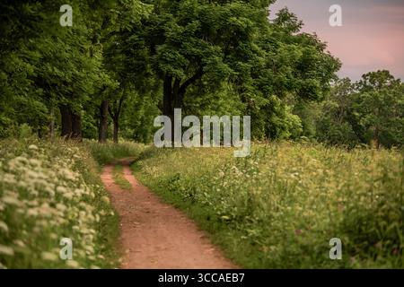 dirt path winds through an old park on a summer evening. Stock Photo